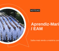 Ilustração sobre o Concurso Aprendiz-Marinheiro (EAM)