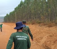 Servidores da Semad MG em fiscalização (Foto: Semad/Divulgação)