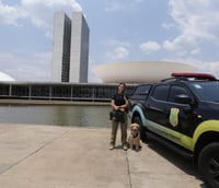 Policial legislativa ao lado de cão farejador e de viatura em frente à Câmara dos Deputados (Foto: Michel Jesus/Câmara dos Deputados)