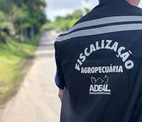 Servidor da Adeal de costas (Foto: Divulgação)