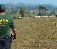 Servidor do Ibama de costas (Foto: Governo Federal)