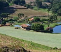 Foto de divulgação SAPE SC (Foto: Ascom/SAPE)