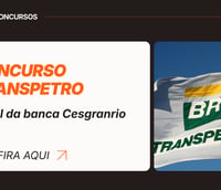 Bandeira da Transpetro flamulando 