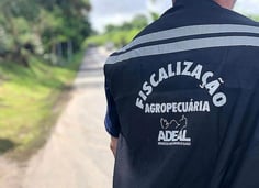 Servidor da Adeal de costas (Foto: Divulgação)