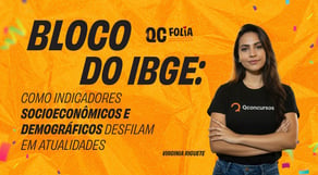 Bloco do IBGE: como indicadores socioeconômicos e demográficos desfilam em Atualidades