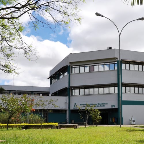 Universidade de São Paulo (USP)