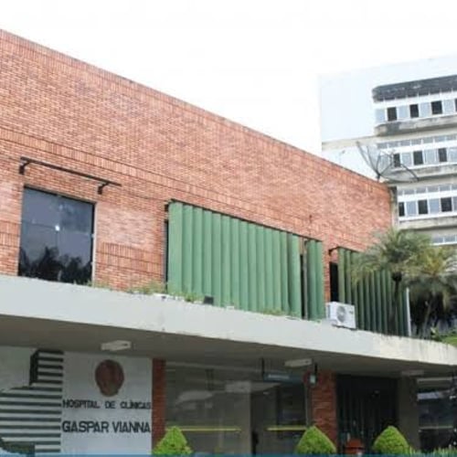 Fachada do Hospital de Clínicas Gaspar Vianna (Foto: Divulgação)