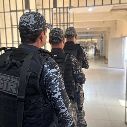 Policiais penais do Mato Grosso em atividade (Foto: Sejusp MT)