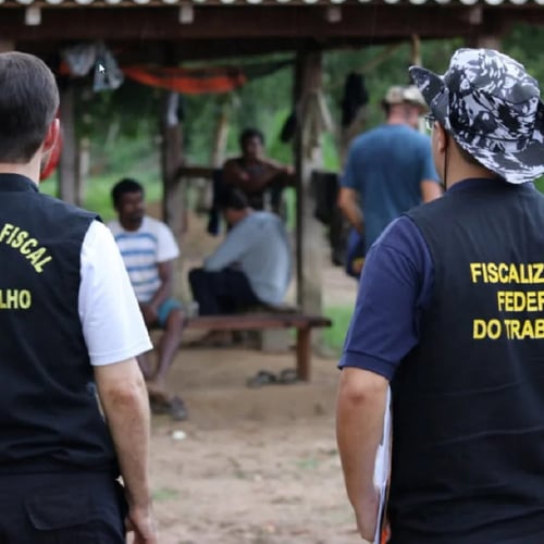 Auditores-fiscais do trabalho em serviço (Foto: Enit GOV)