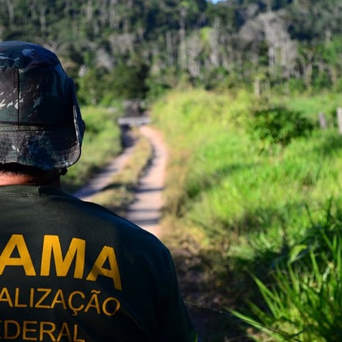 Servidor do Ibama durante uma fiscalização (Foto: Divulgação/Ibama)