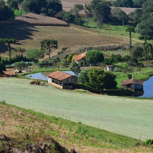 Foto de divulgação SAPE SC (Foto: Ascom/SAPE)