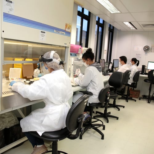 Profissionais da Hemominas trabalhando (Foto: Divulgação)