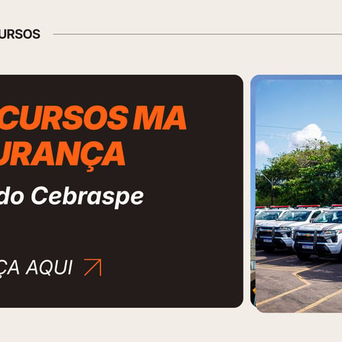 Perfil Cebraspe concursos MA