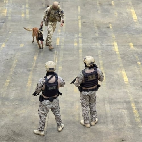 Policiais penais do Rio Grande do Norte ao lado de cães farejadores (Foto: Arquivo / Assecom)