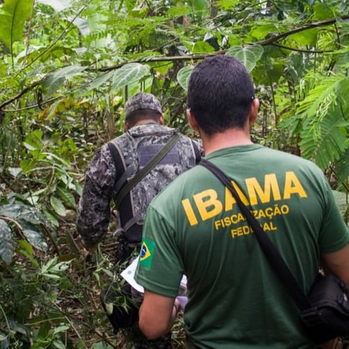 Servidor do Ibama em atividade (Foto: Vinícius Mendonça/Ibama)