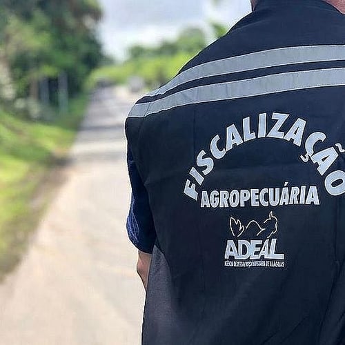 Servidor da Adeal de costas (Foto: Divulgação)