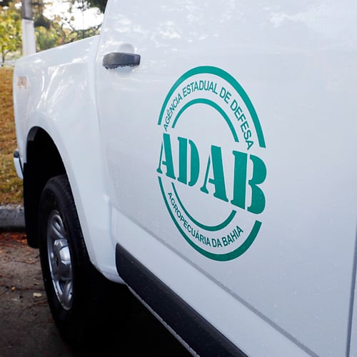 Carro com a logo da Adab (Foto: Rafael Martins/GOVBA)