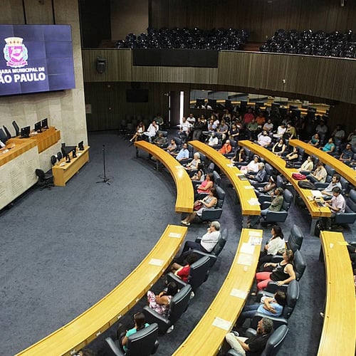 Plenário Câmara de SP (Foto: Divulgação)