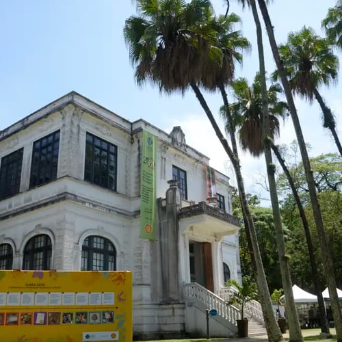 Jardim Botânico do Rio de Janeiro (Foto: Tomaz Silva/Agência Brasil)