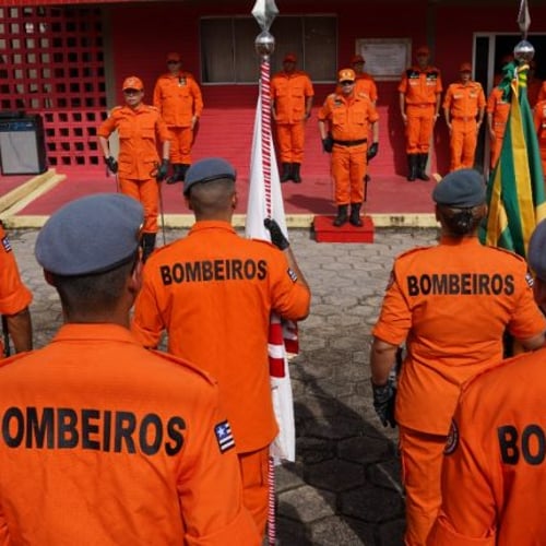 Bombeiros enfileirados (Foto: Divulgação)